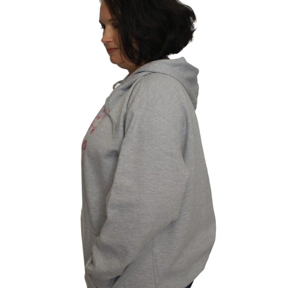 Atlanta Falcons NFL Women's Plus Size Screen Print Hoodie 2X - Picture 2 of 2